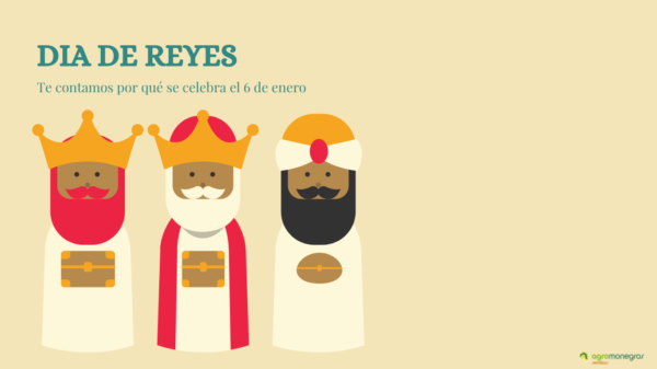 dia de reyes_agromonegros_blog