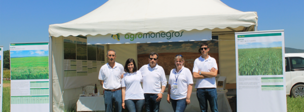 Foto-equipo-rrss Foto-equipo-rrss