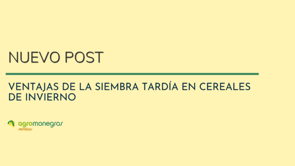PORTADA BLOG SIEMBRA TARDIA AGROMONEGROS