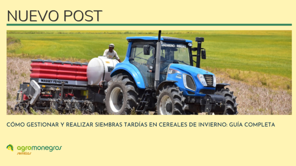 PORTADAS POST BLOG (4)