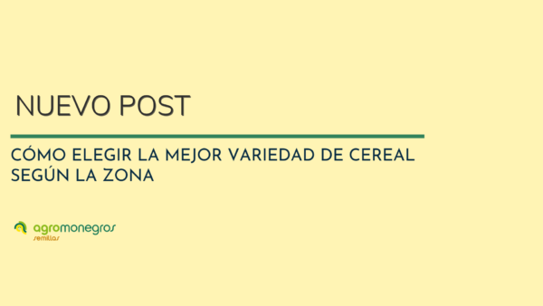 PORTADAS POST BLOG (5)