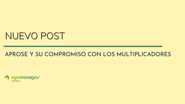PORTADAS POST BLOG (5)