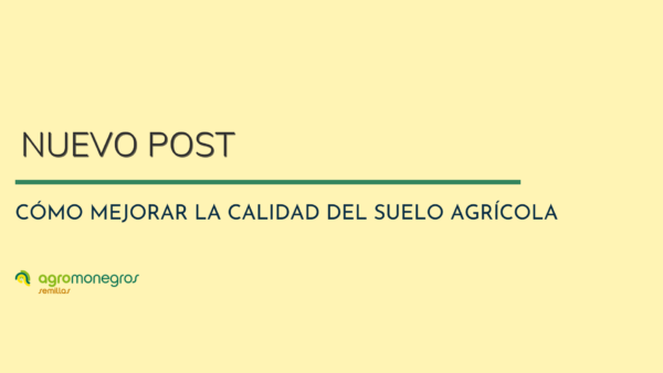 PORTADAS POST BLOG (6)