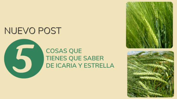 Portada post_agromonegros_051121
