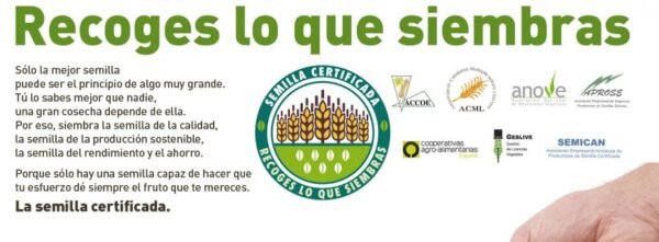 campaña-generica campaña-generica