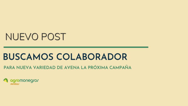 nuevo post_avena_agromonegros