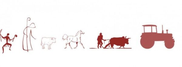 evolución agricultura evolución agricultura