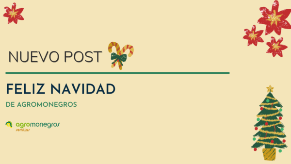portada post agromonegros_navidad