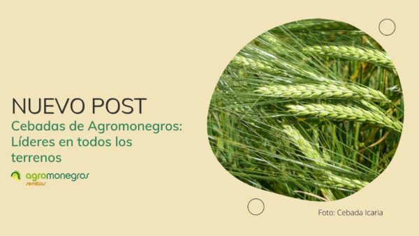 portada post_cebadas_agromonegros_2021