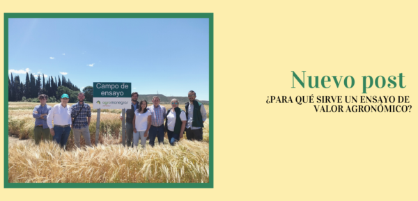 portada post_ensayoagronomico_agromonegros